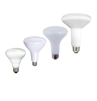 BR LED Bulbs